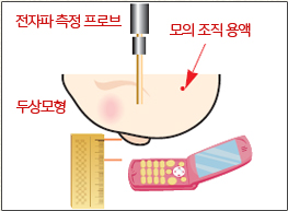 전자파 측정프로브로 두상에 모의 조직용액을 떨어뜨려 전자파흡수율 즉정 